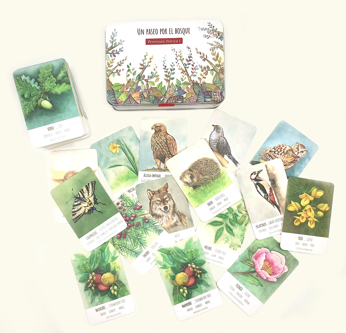 ackung-paseo-bosque-lata-cartas